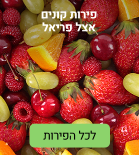 פירות